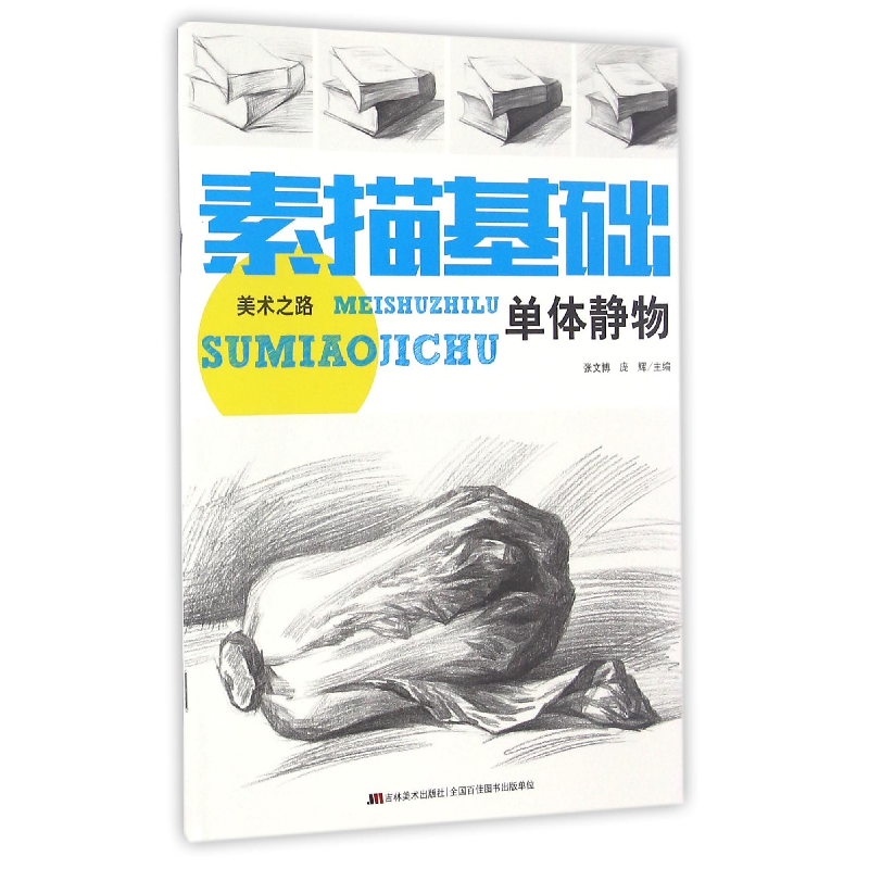 音像素描基础(单体静物)编者:张文博//庞辉