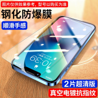 适用苹果16钢化膜苹果16Pro全屏iphone16promax手机膜苹果15/pro高清13防窥12护眼膜14 【超清进口哑克玻璃强化防爆】2片装 iPhone14Pro