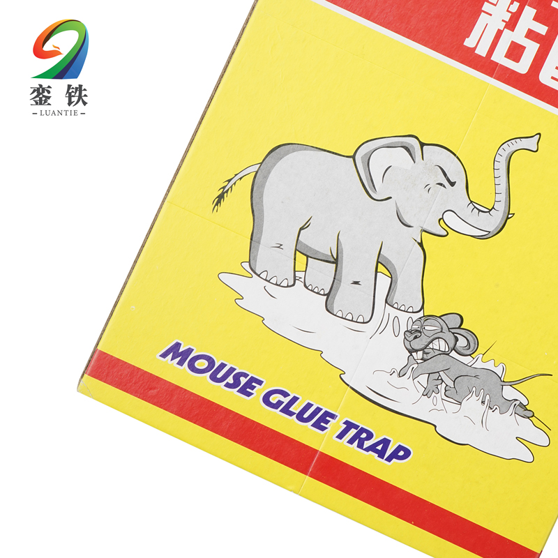 銮铁粘鼠板强力张高清大图