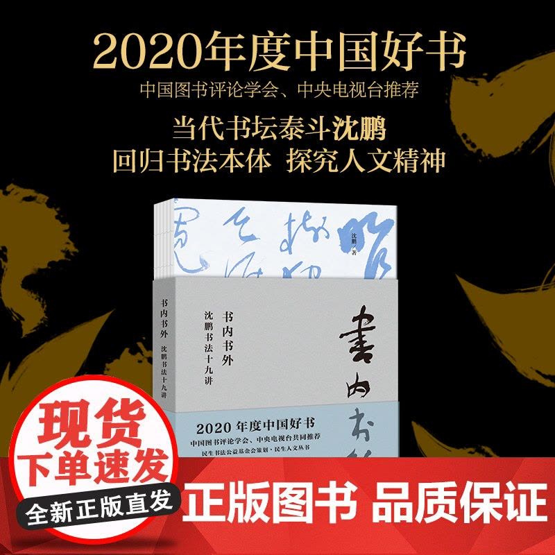[2020中国好书]书内书外 沈鹏书法十九讲 书法教学实践精选 漫谈国学修养与书法 北京大学出版社图片