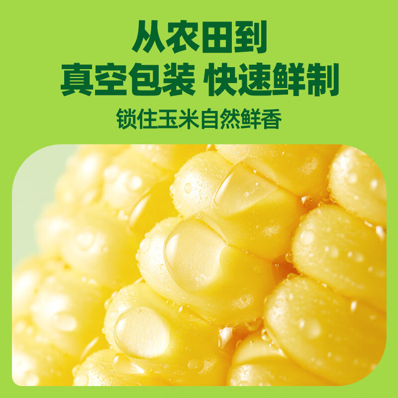 十月稻田鲜食黄糯玉米1.32kg(220g*6)香甜软滑黏糯0添加真空包装高清大图