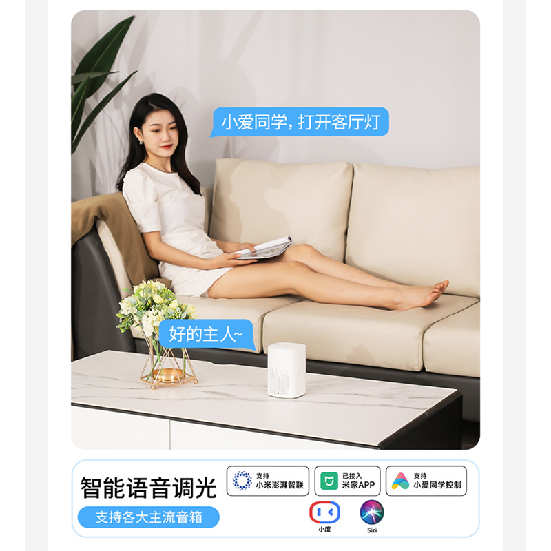 雷士照明[碧月]全光谱语音智控吸顶灯中山灯具简约现代轻奢仿水晶客厅灯高清大图