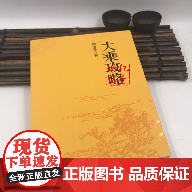 正版 大乘攻略 白话简体横排 释净空/著 宗教文化出版社汉传佛教图书佛教经典书籍高清大图