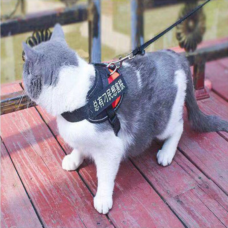 黑色背心+1.5米黑色牵引绳 S-小型(3斤以下猫狗) 猫咪牵引绳防挣脱专用溜猫绳遛猫绳背心式背带项圈栓小猫绳子猫链