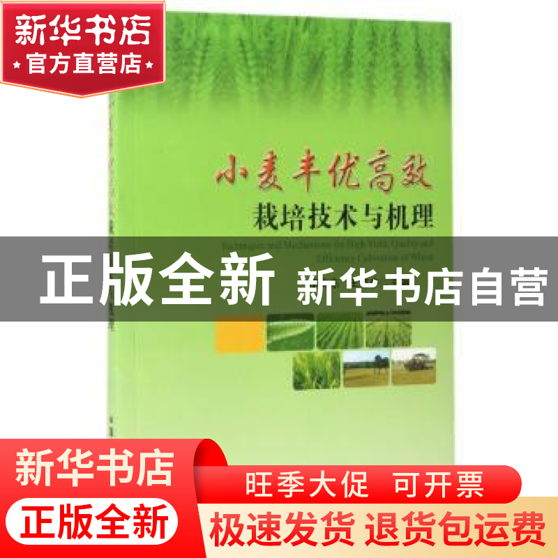 正版 小麦丰优高效栽培技术与机理 李向东//王绍中 中国农业出版