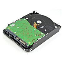 西部数据（Western Digital）10TB HC510 (大数据存储中心｜氦气密封｜250万小时/MTBF｜五年质保)HUH721010ALE600