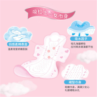 月如意新品卫生巾吸红士系列6包组合（4日260mm+2夜）