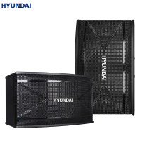 现代(HYUNDAI)HY-10U卡包音响 KTV音响家庭影院组合套装 会议客厅卡拉ok家用 仅对箱