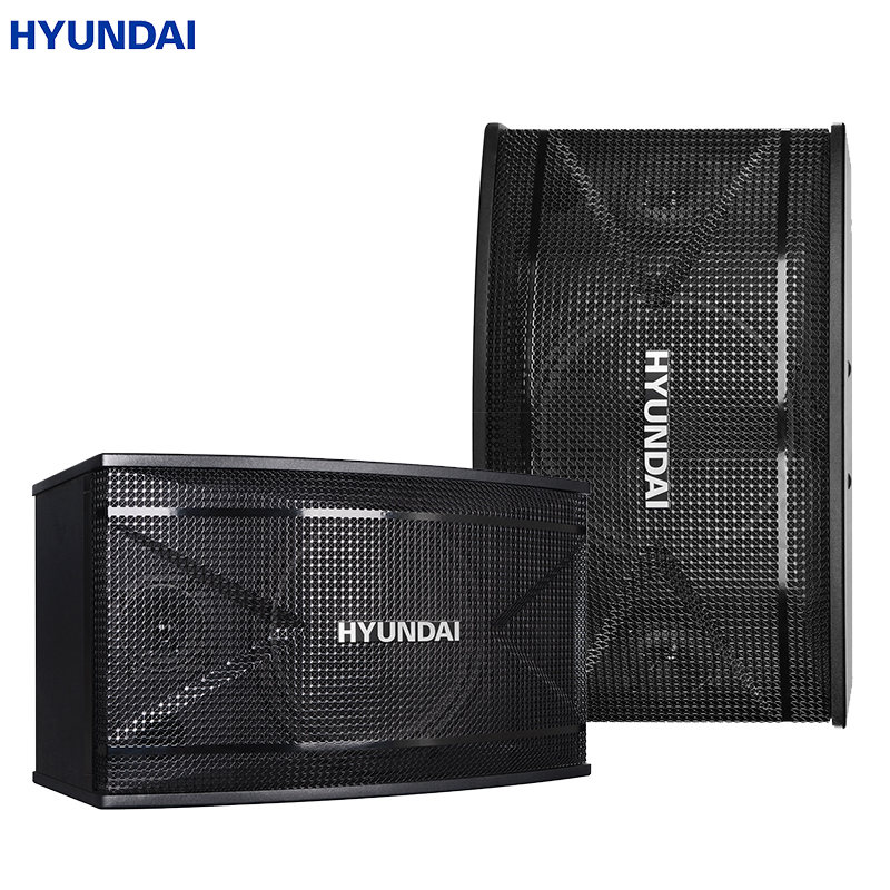 现代(HYUNDAI)HY-10U卡包音响 KTV音响家庭影院组合套装 会议客厅卡拉ok家用 仅对箱