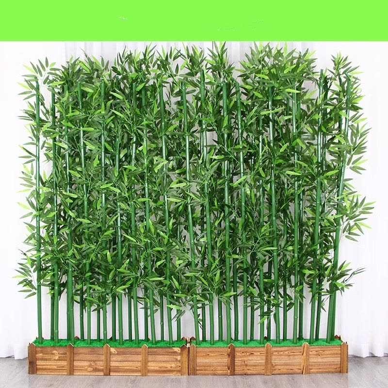 优橙 竹排绿植盆栽花卉大型花室内净化空气图片