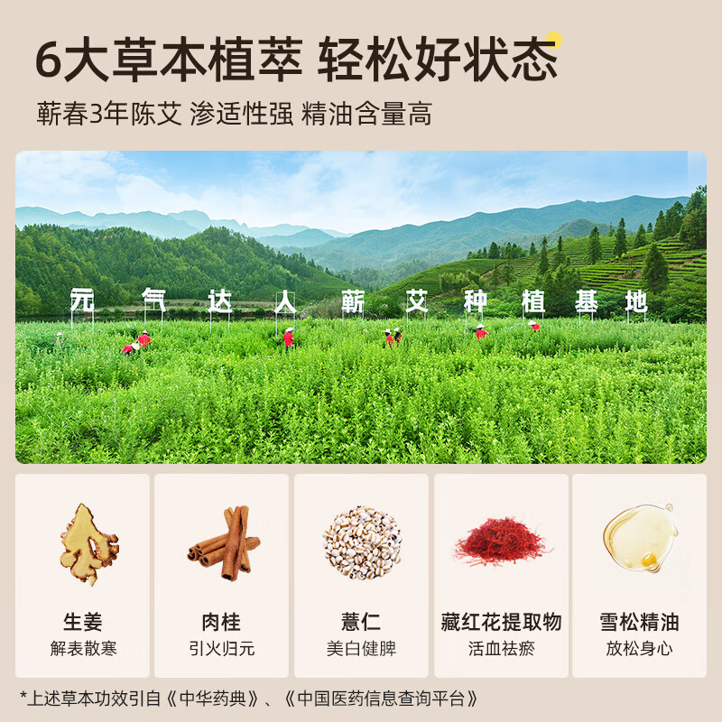 元气达人暖足贴女生脚底暖脚神器可行走艾草冬天睡觉被窝发热宝宝 YQDR-ZTie-XSH高清大图