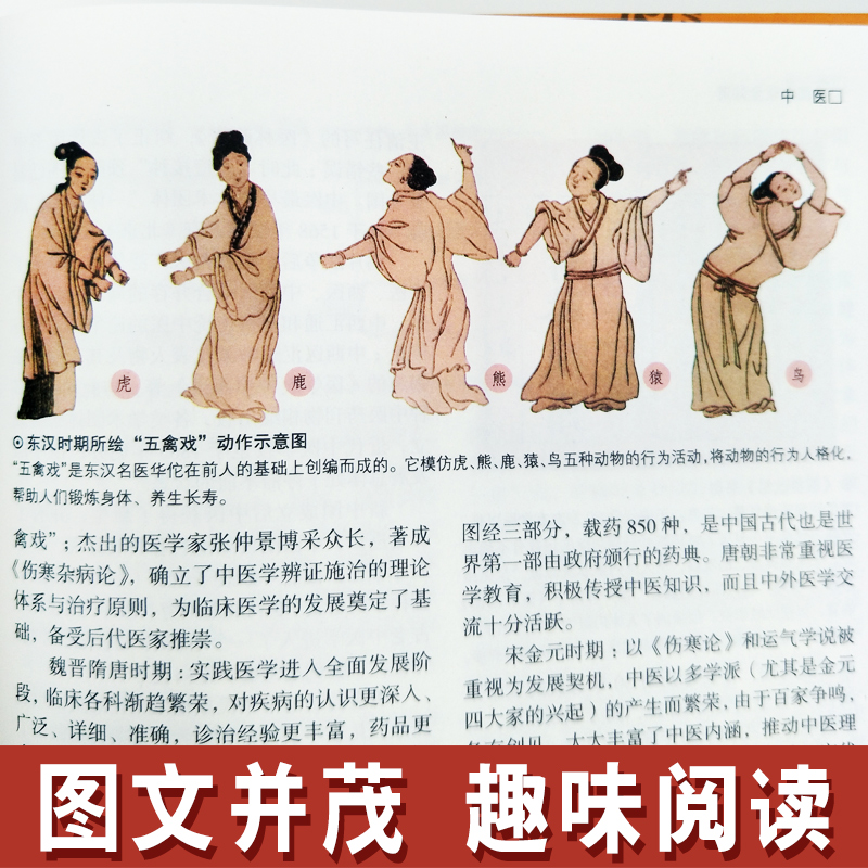 [正版] 中国文化全知道 全彩白金版文实著 中国古代文化常识与要略中国文化读本 中国文化常识全知道中国文化中国传统高清大图