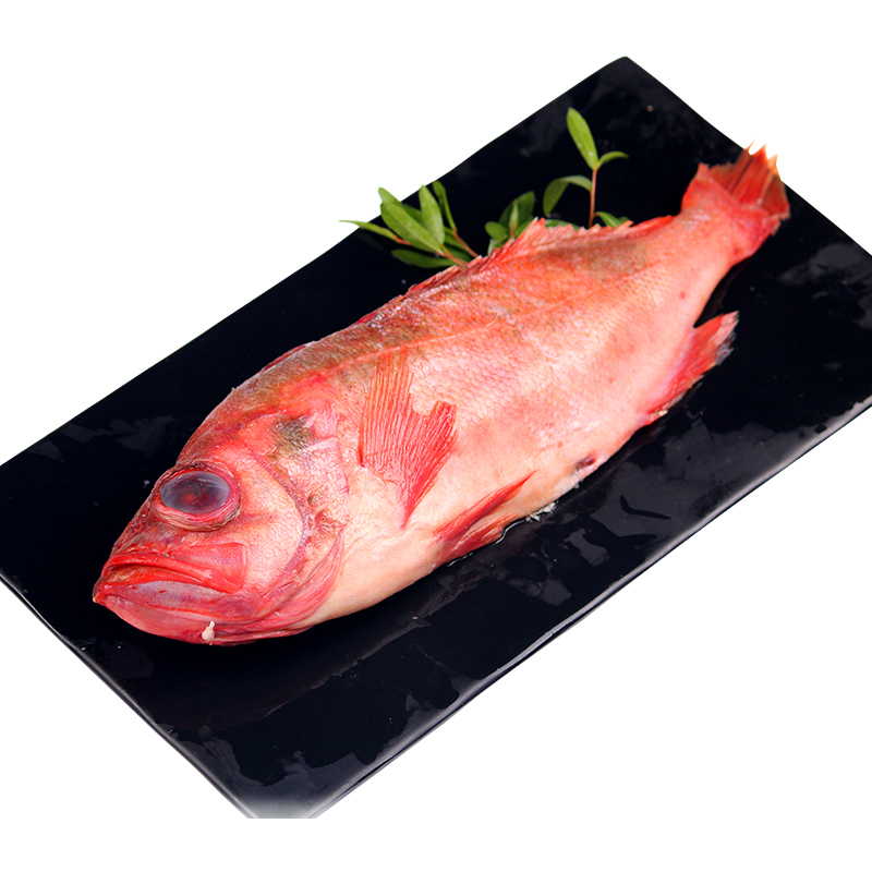 金沐运澄 冰岛冷冻红鱼海鲜红鱼整条大眼鱼婴儿辅食 500g 袋装