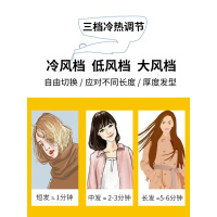 飞科吹风机家用负离子护发宿舍用学生便携式大小功率电吹风筒 抖音同款