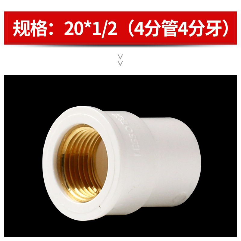 联塑(LESSO) PVC内丝直接 DN20 10个/组(单位:组)高清大图