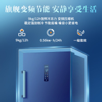 澳柯玛(AUCMA) 192升立式冷柜 冰柜冰箱 家用黄金容量 -40度深冷缩鲜 变频风冷一级节能 BD-192WPHS