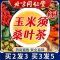 北京同仁堂玉米须茶3袋/5g*30包 玉米须桑叶茶搭蒲公英牛蒡根养生茶包官方旗舰店正品