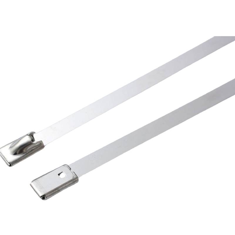万梓 不锈钢扎带 4.6*650mm 根高清大图