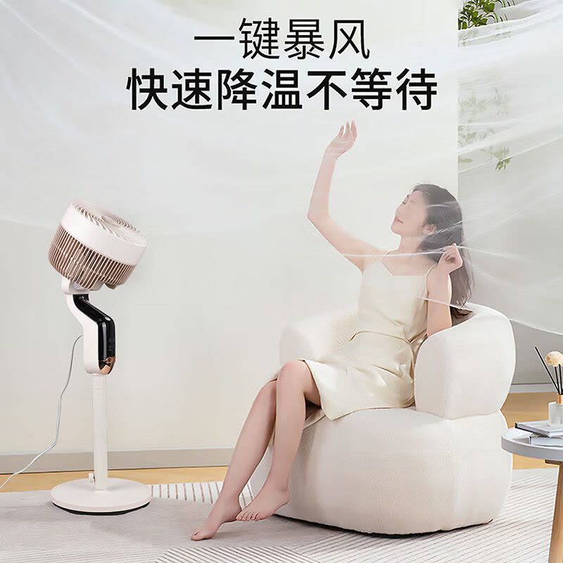 艾贝丽 360°智能语音空气循环风扇ABL-FS2102图片