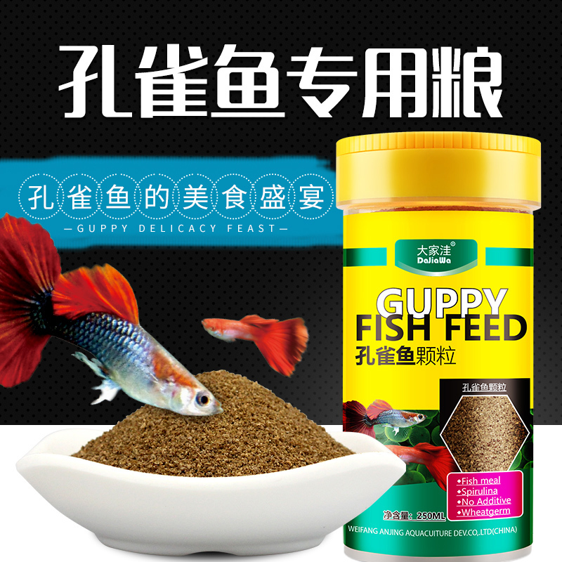 孔雀鱼饲料鱼食小型鱼孔雀鱼幼鱼开口饲料小型鱼热带鱼鱼食缓沉高清大图