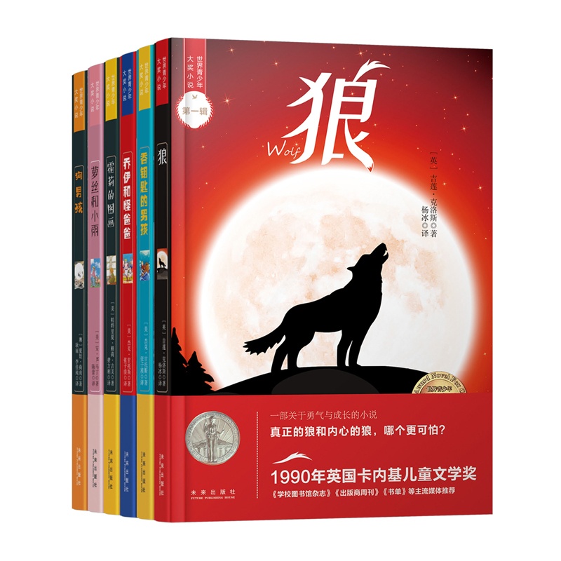 [醉染正版]世界青少年大奖小说丛书第一辑(全6册) 注重青少年成长中的困难高清大图