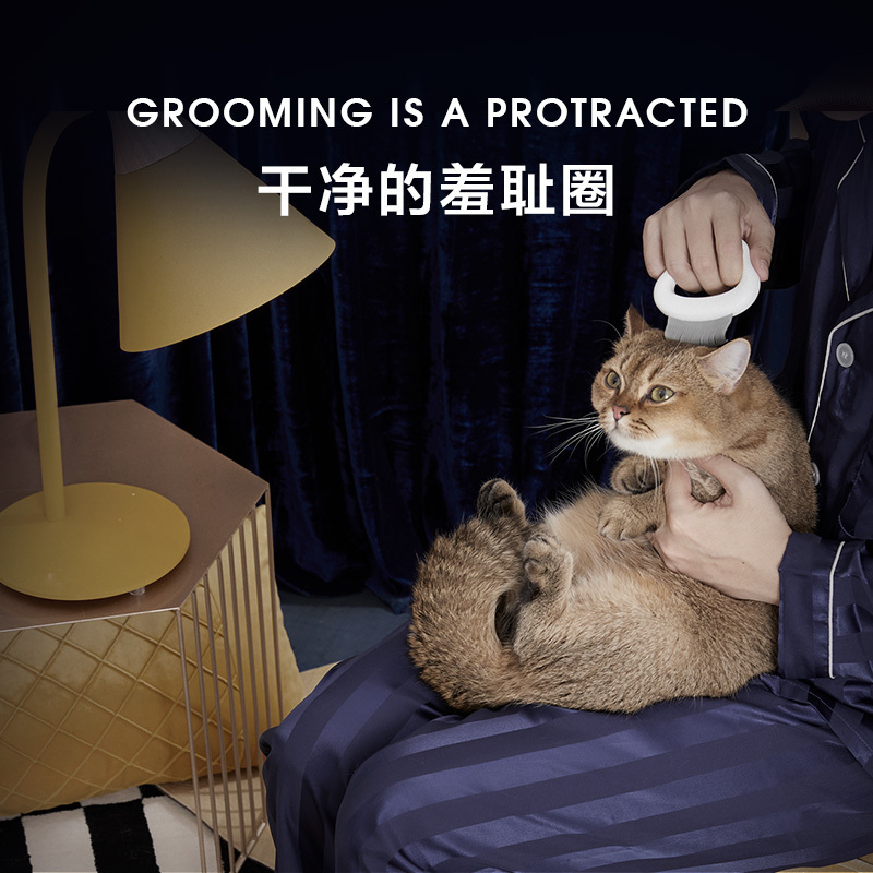 LORDE里兜猫梳子 时光云磨子猫咪专用贝壳猫梳 去浮毛用品
