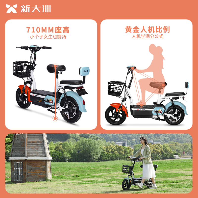 PALLA电动车 战神洲洲 新国标48V20ah大容量电瓶车代步车电动自行车 钻白