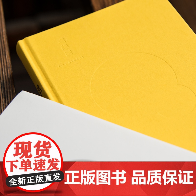 正版 穿透:像社会学家一样思考 清华大学社会学家严飞著 钱颖一、刘瑜、郝景芳 ,梁文道作序 社会学小说集 理想国高清大图