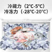 SAST 冷柜商用家用单温小冰柜卧式双门双温柜顶开门冷藏冷冻转换柜母乳冰箱BCD-142