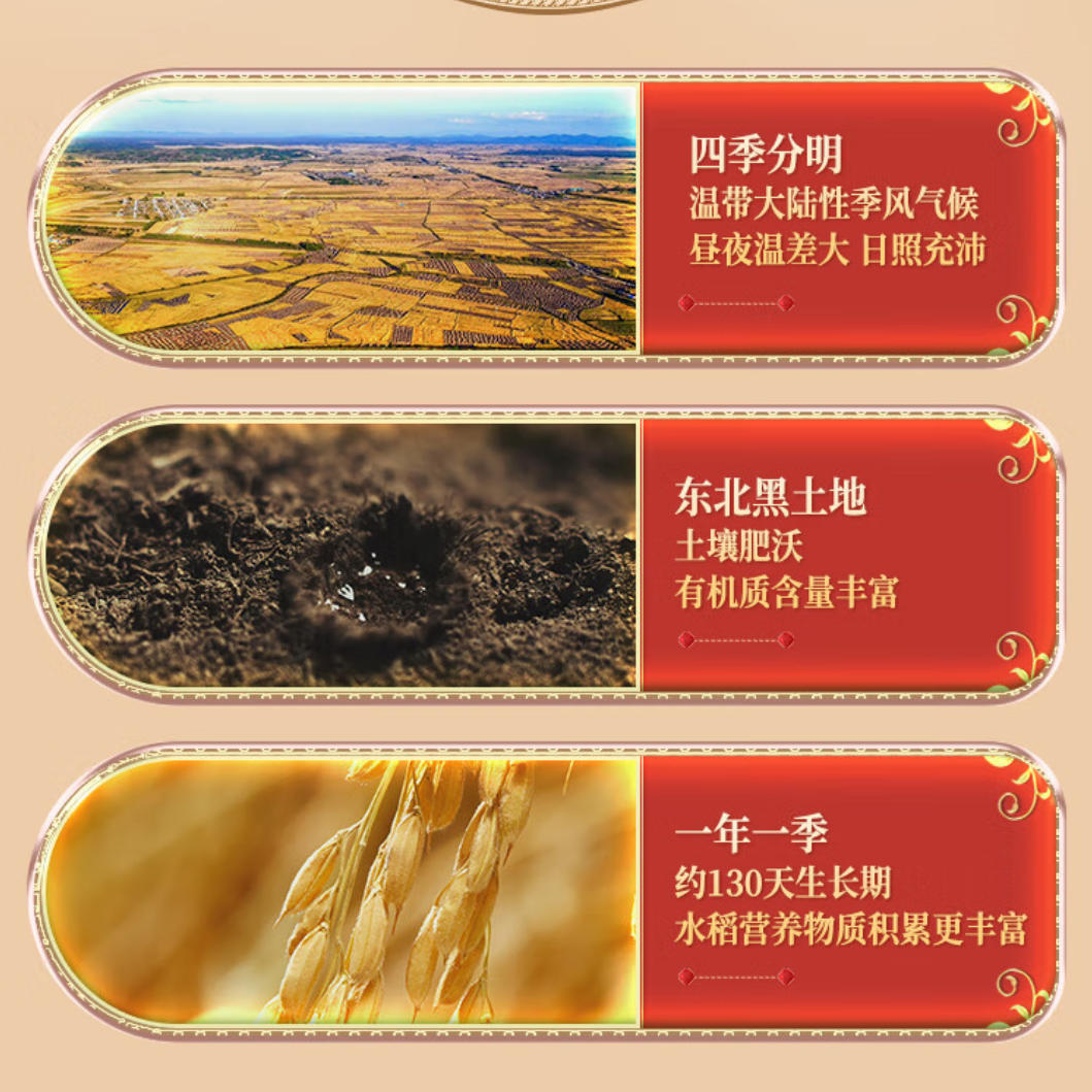 十月稻田公子家极致长粒香米5kg清香四溢口感丝滑家庭必备高清大图