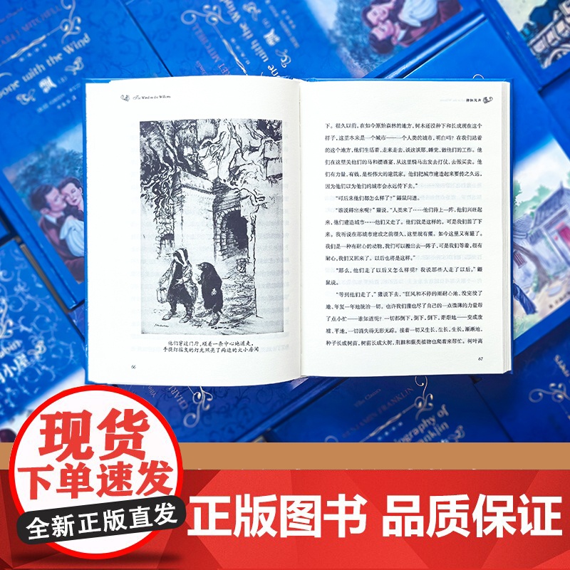 经典译林:柳林风声(精装)风靡全球的治愈系童话故事 亲子读物睡前故事 英国儿童文学黄金时代压轴之作 青少年课外阅读书目高清大图