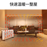利维·斯顿(ILVSD)取暖器家用节能电暖器暖风机对流式电暖气客厅卧室整屋供暖 IPX4级防水 不干燥DL25E+APP
