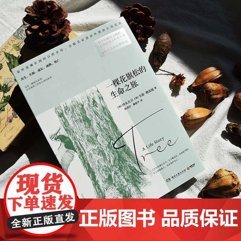 [央视网]一棵花旗松的生命之旅 聆听波澜壮阔的自然史诗 亲眼见证意识外围的生命奇迹 联合国教科文组织卡林加奖得主铃木大卫高清大图