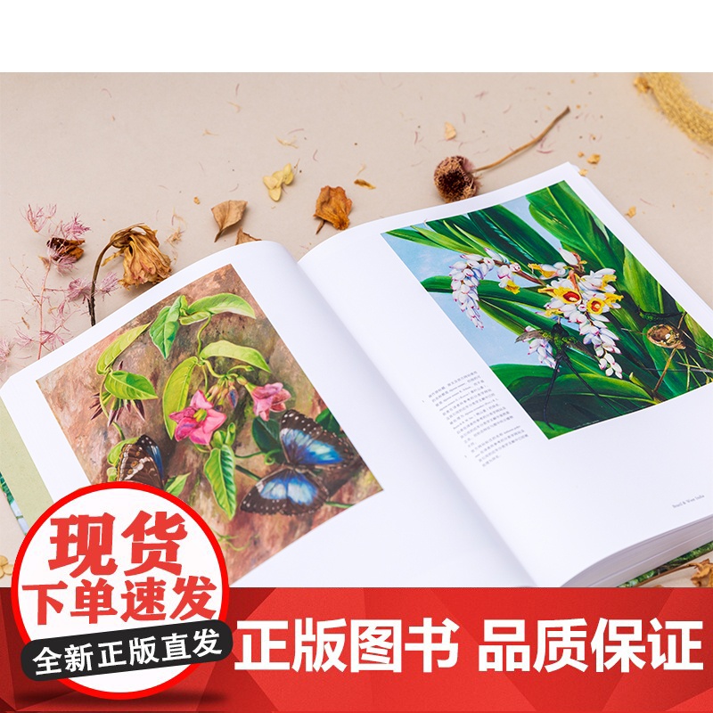 花朵与探险2:玛丽安娜·诺斯的旅行回忆 中国国家地理植物画册书高清大图