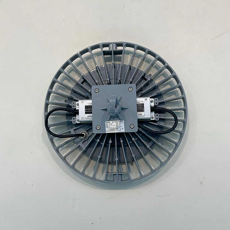 RECEN RGFL230-200W 固定式LED灯具 个高清大图