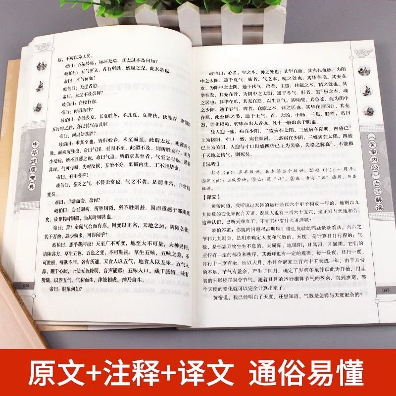 中华健康宝典[全5册] [正版]黄帝内经原版皇帝内经全集中医书籍大全基础理论入门医药学养生书经络穴位图解灵枢素问注释图解高清大图