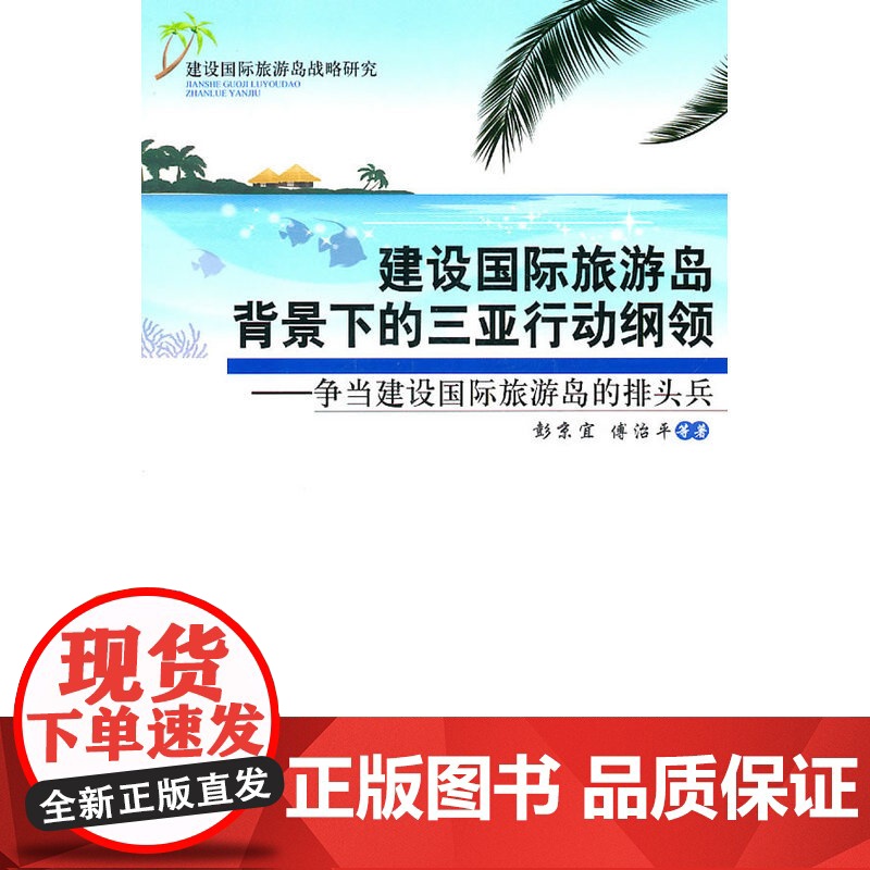 建设国际旅游岛背景下的三亚行动纲领高清大图