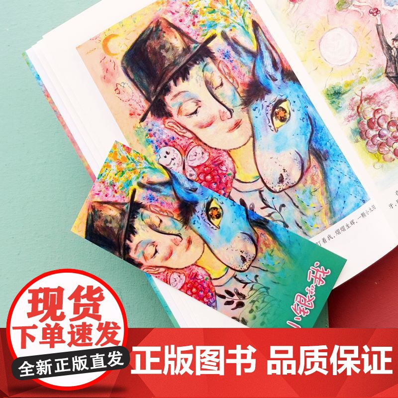 小银和我 小译林国际大奖童书 诺贝尔文学奖得主儿童文学代表作 汇集世界重要奖项童书作品儿童小学生课外寒暑假阅读书籍高清大图