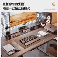 乐歌E2S智能电动升降桌居家办公电脑桌学习桌书桌电动升降