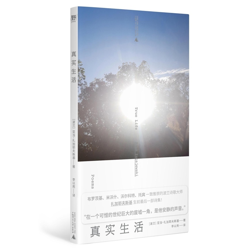 真实生活 [正版]2024豆瓣年度书单真实生活 亚当·扎加耶夫斯基 著 单行本诗集 收录54篇诗作 广西师范大学出版社高清大图