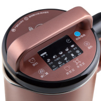 Joyoung/九阳 DJ13R-P9 家用多功能 全自动 破壁免滤无渣 豆浆机 新款官方旗舰店正品