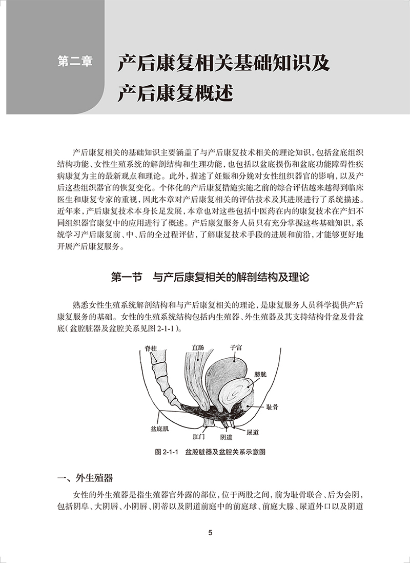 [正版]产后康复指南 中国康复医学会康复医学指南丛书 邹燕主编 产后康复相关基础知识及产后康复概述 人民卫生出版社97高清大图