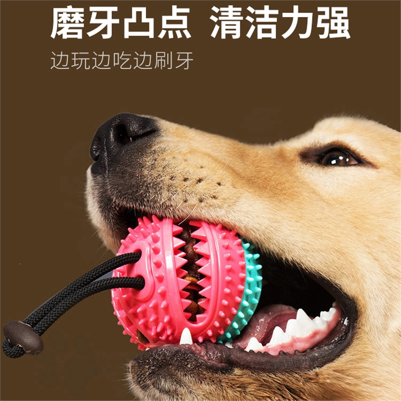 狗狗玩具米妮耐咬磨牙宠物解闷幼犬小型犬小狗自己玩吸盘漏食球