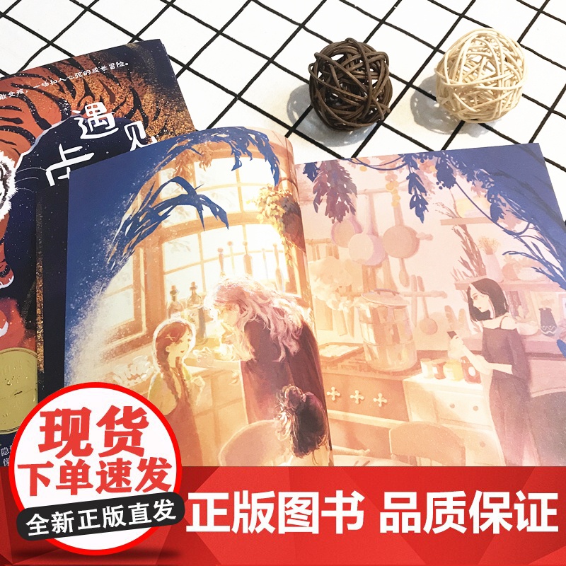 [央视网]遇见虎灵的女孩 纽伯瑞金奖作品 2022百班千人暑期书单 一个执意守护的勇敢女孩 一场扣人心弦的成长冒险 TJ高清大图