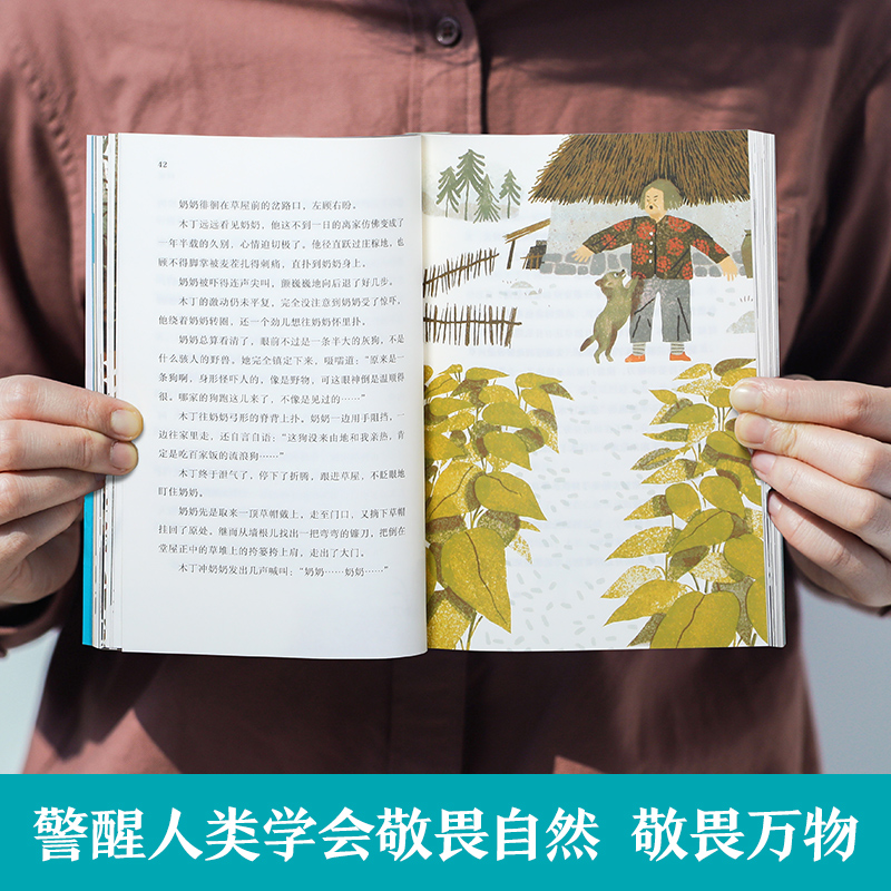山神 [正版] 万物有灵系列山神儿童文学3-4-5-6岁绘本早教启蒙 文学欣赏能力培养高清大图