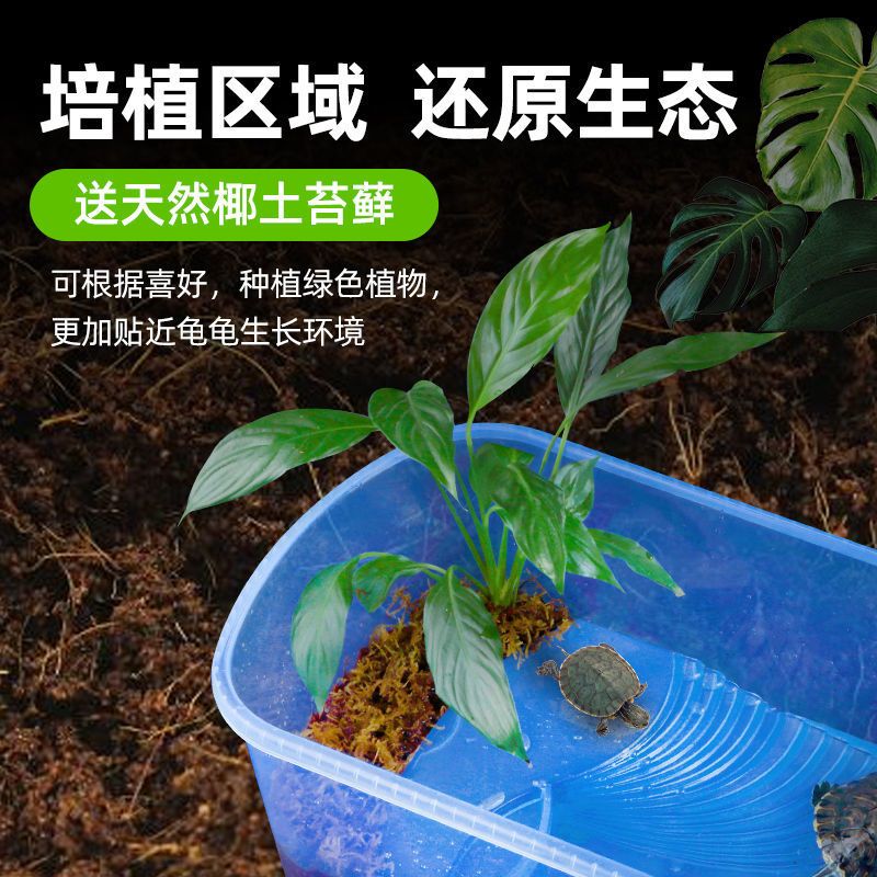 养乌龟专用龟缸龟箱家养造景大型龟养殖缸鳄龟蓝色小号生态缸271712cm