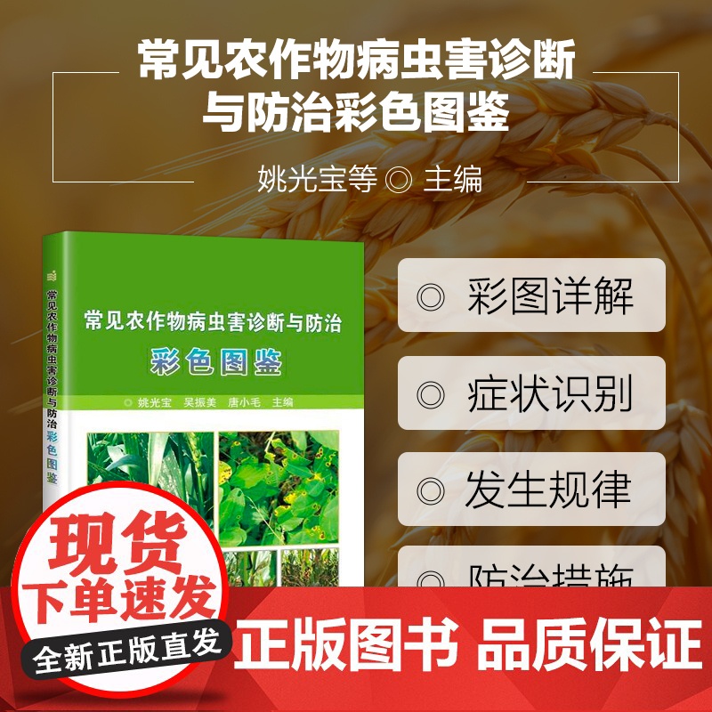 常见农作物病虫害诊断与防治彩色图鉴 农作物病虫害识别速查手册 麦稻玉米高粱谷大豆花生油菜烟草病虫害防治技术大全书高清大图