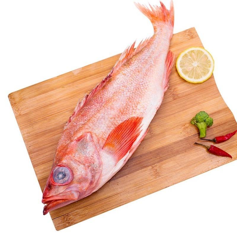 深海红鱼/条 约600g 顺丰 深海红鱼 新鲜冷冻水产深海鱼 石斑红鱼