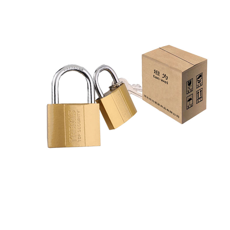 锁挂锁铁锁小挂锁单开锁 25mm 把高清大图