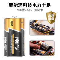 南孚LR20 1号电池
